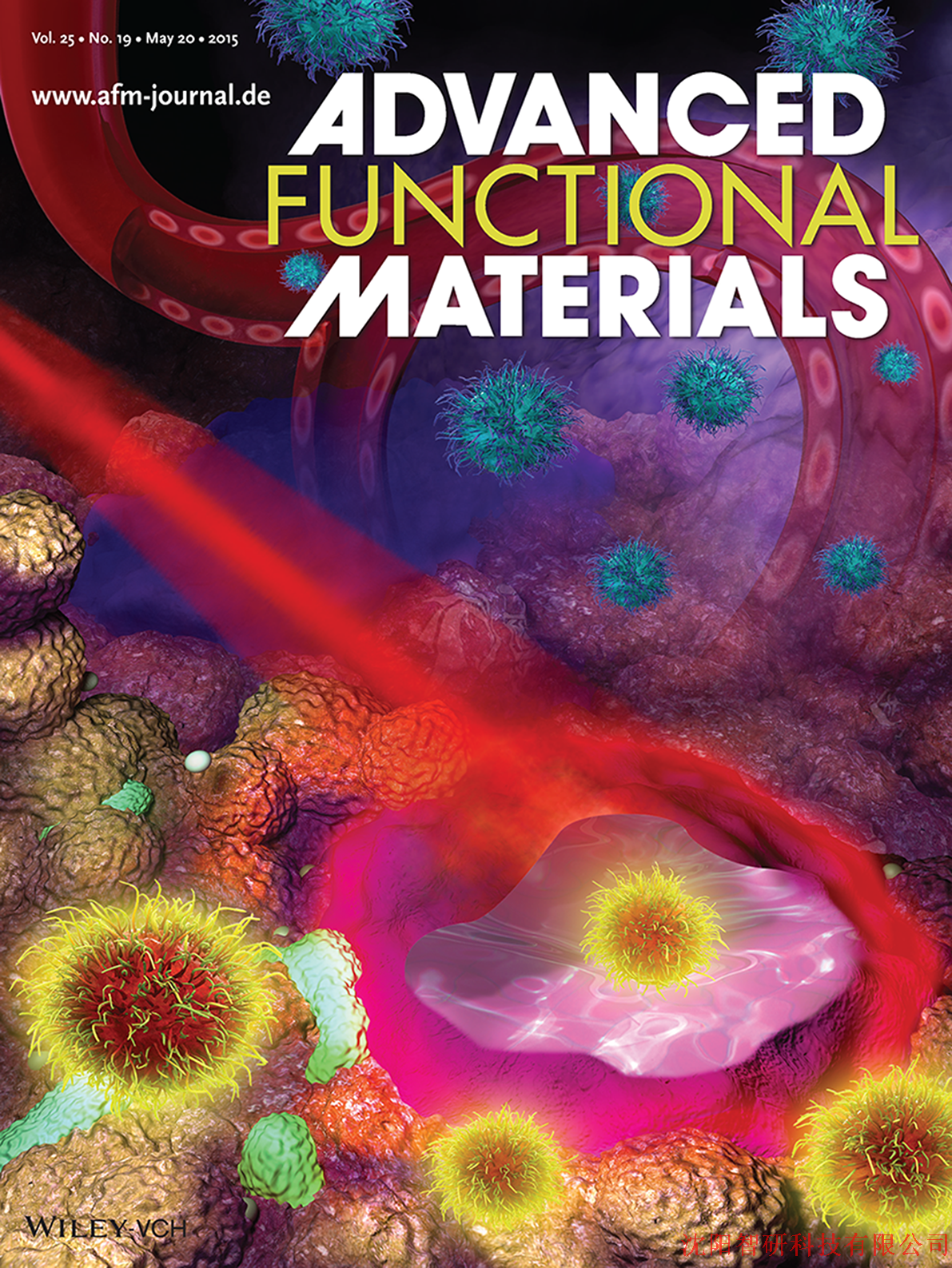 advanced functional materials